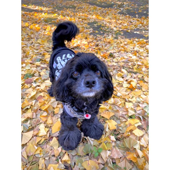 5ad546d7 4cb3 4c60 a3fb 8e382e7cbfe7 1702264347830