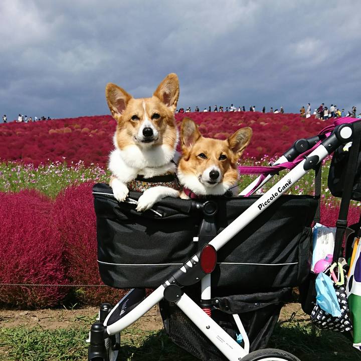 5ad5494b 0228 4b6c 8ec8 6762052a4b9c 1540004968989