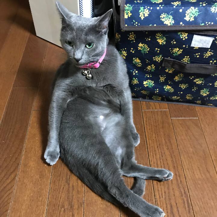 5ad54cb0 567e 4619 ad11 f910802fc7fd 1531220149588