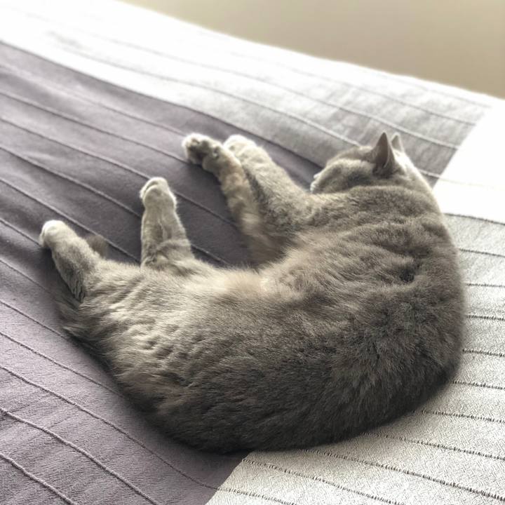 5ad55689 7d07 4802 98dc c866ae1923e2 1527126112029