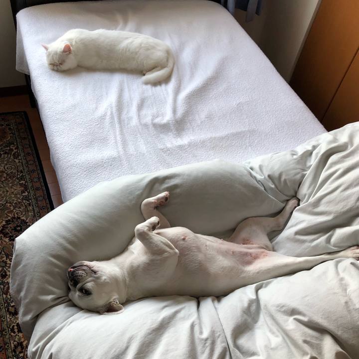 5ad557b7 9f8a 4eca b835 dcbd6dfc4dc4 1620296333094