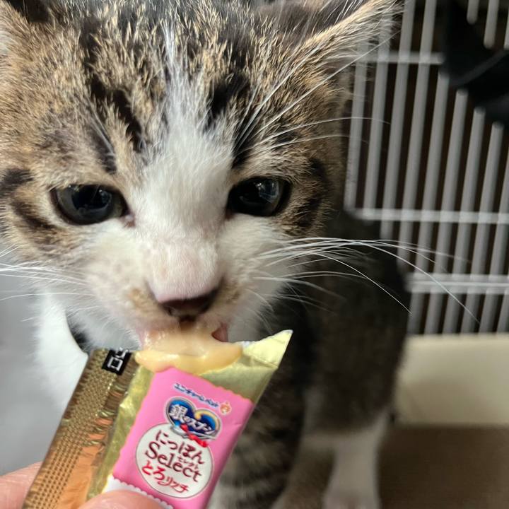 5ad58a6f 09cb 41ef bfd0 908a631091aa 1766280530922