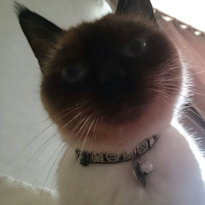 5ad596d8 96a9 4eaa a05d 275a2abb79ea 1538447815215