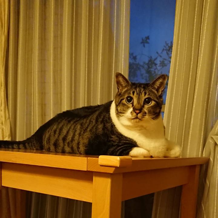 5ad5a713 4147 4bbe 98bc 77073bf7fe4b 1568378330785