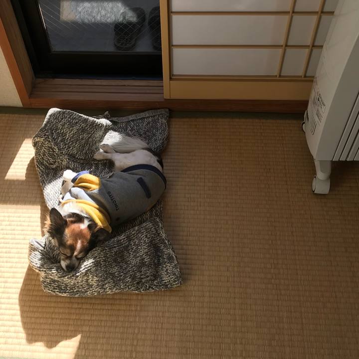 5ad602fd 3379 4627 a2de 55d2e6c005c4 1517893010785