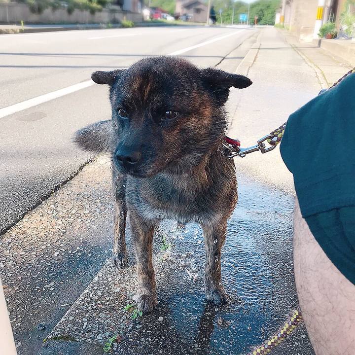 5ad6034c 05fb 487f 9cc5 0273113e48f8 1531045114226