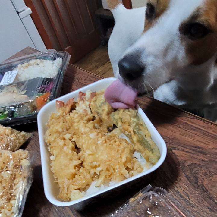 5ad63850 c8d3 4b99 8285 59ddae2d7351 1714118672115