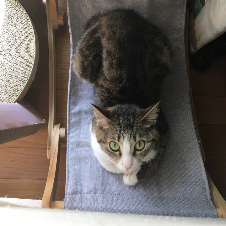 5ad64970 5888 44ed 853c 3130132339a8 1692087253210