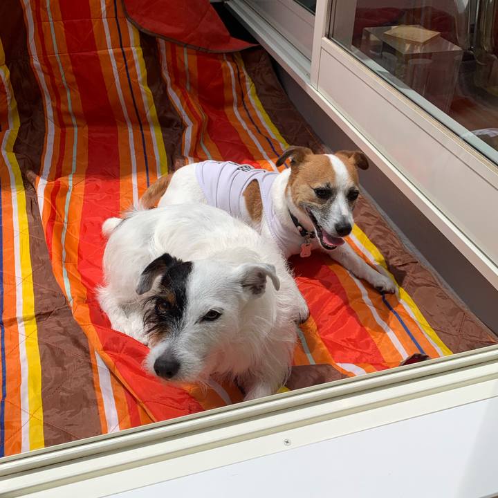 5ad651ef c41d 4d29 87aa 95c9a549c846 1589256934694