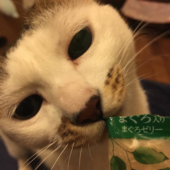 5ad66b94 8cae 4ff2 bc8b e147a9efdab4 1558796110372