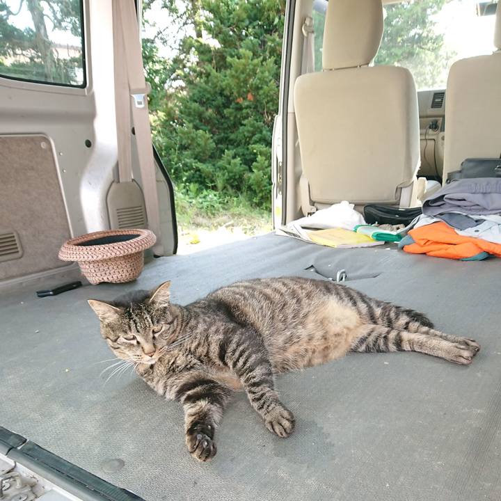 5ad6a3a7 915e 47ee 8f3a 4bf624ab2566 1657435385951