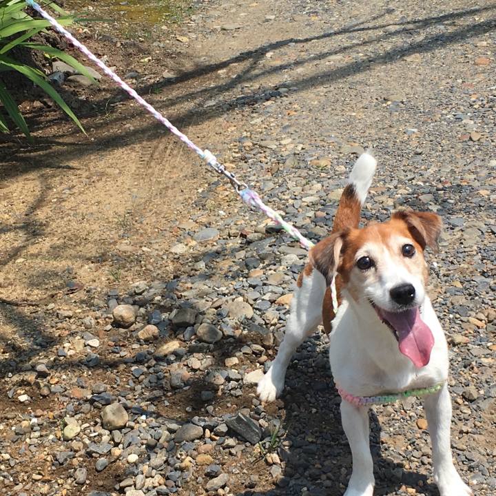 5ad6a4fc e32d 40cd b7a7 000e98604bab 1564458863906