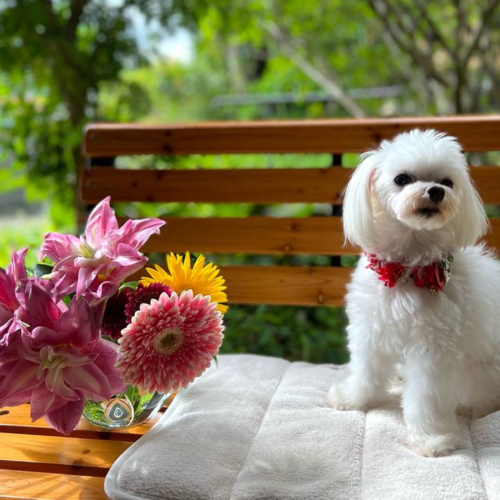 5ad6b2a2 1007 424f 98f3 f5e00f762311 1662029206539