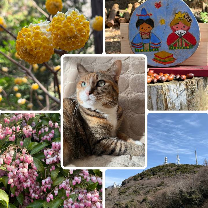 5ad6bd88 cdc5 4f23 a22d 0d0e05da6945 1772342794144