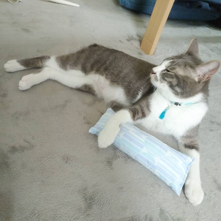 5ad6cfea 204d 41da 8dfd 533d87e01aa8 1591057492320