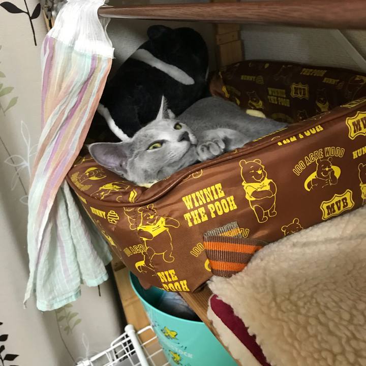 5ad6e0ca 6b90 4d10 8bda cc9a11e6f23a 1513204998744