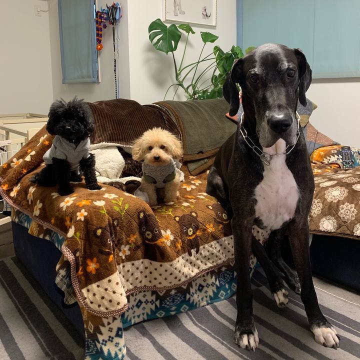 5ad7173e 63c4 46f9 b2e5 3163d864d45c 1544999777418