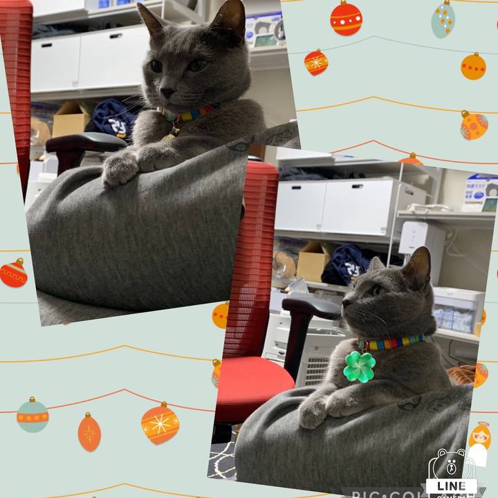 5ad7274c eb8b 4219 a037 dffd5af22d18 1672706109729