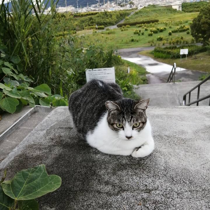 5ad7527f eba1 4652 b452 a2be249b3d75 1569160028707