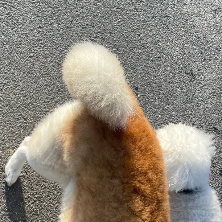 5ad77e82 5f42 45b0 980a 1ce7227c16e0 1679492247171