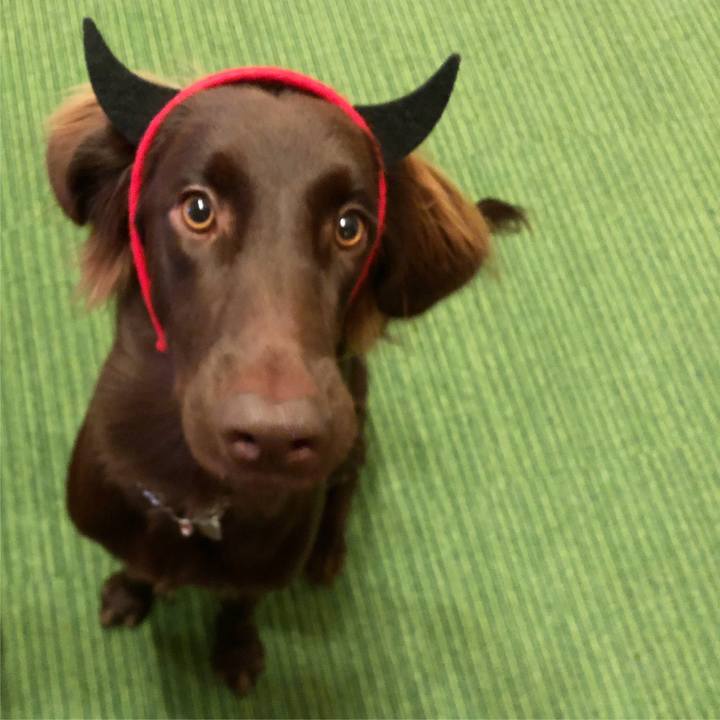 5ad781f1 6edb 4ac3 9e26 4fe2b6f024e1 1572562427322