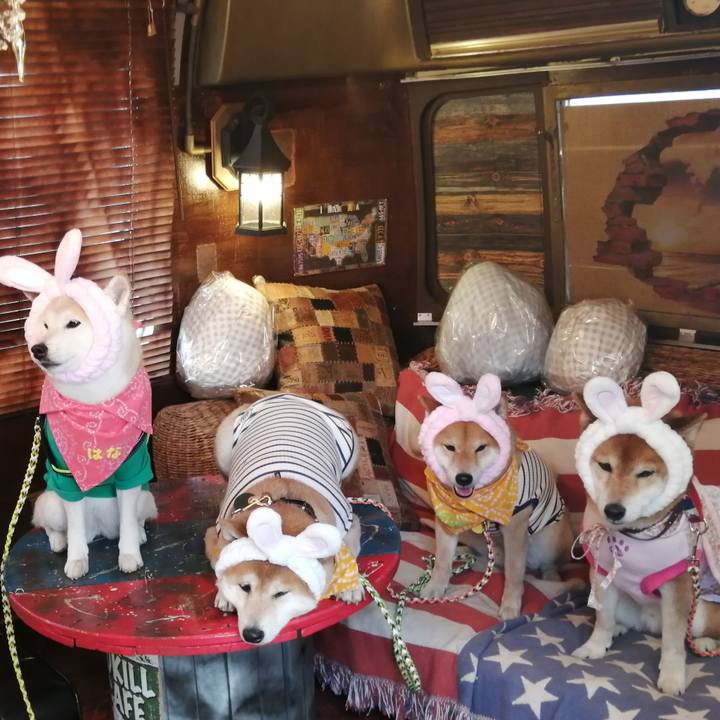 5ad7c1aa 320b 45be bef7 8393f76f79fe 1650183713159