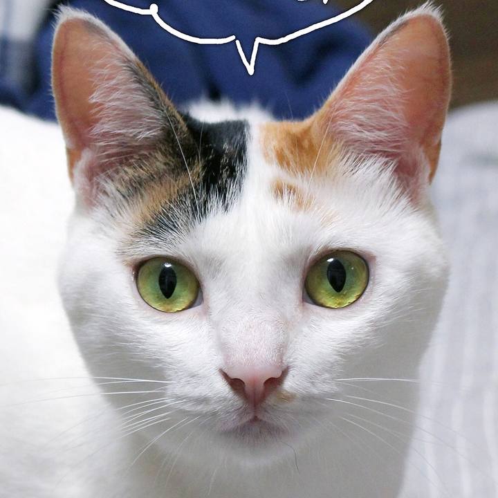 5ad7c571 52e9 4946 9273 db6d4475a80d 1596674149585