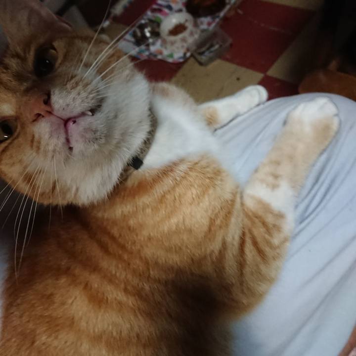 5ad8398e 28f1 4cb2 89d8 ea355c5a4931 1593943772700