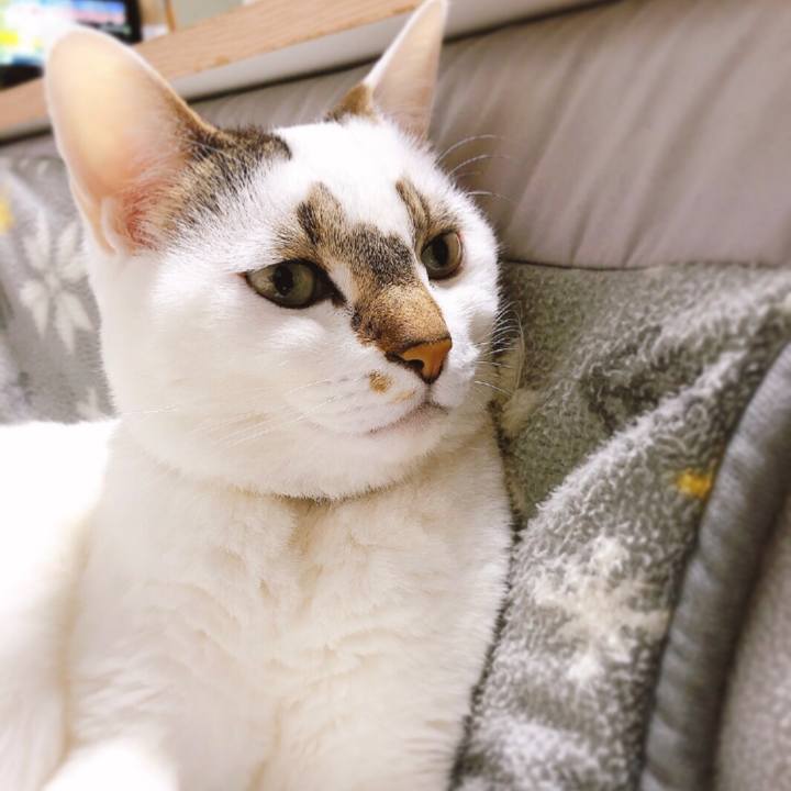 5ad852d1 e3a8 4fda b664 27c04a46b61a 1641457875690