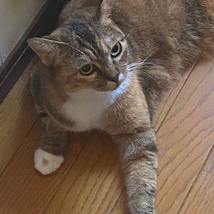 5ad88de2 6d05 474a 9a2b 1ff8131c9f90 1598057313533