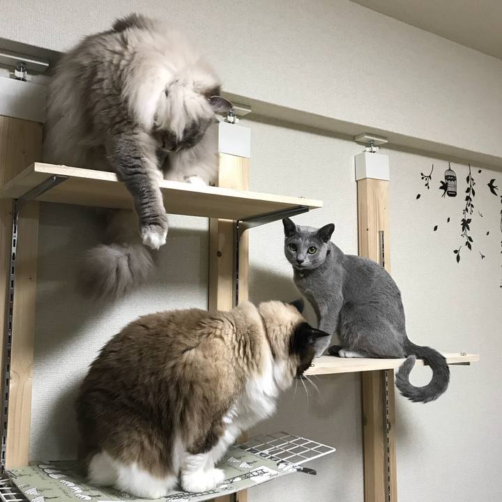 5ad893ec abd3 49ea 8a72 9e02dd21e73d 1525487252689