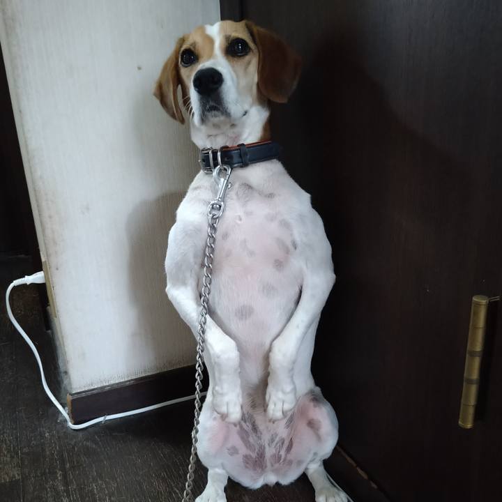 5ad8bad3 8317 4d40 84ef 442856d743c4 1629705579322