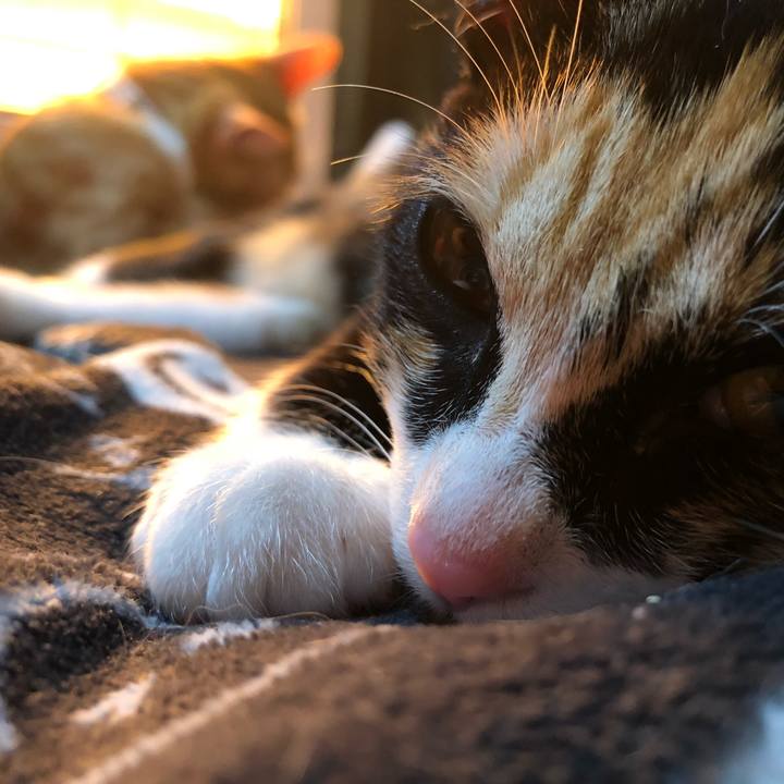 5ad8e442 f141 44d6 afdc e475ee741230 1547457603195