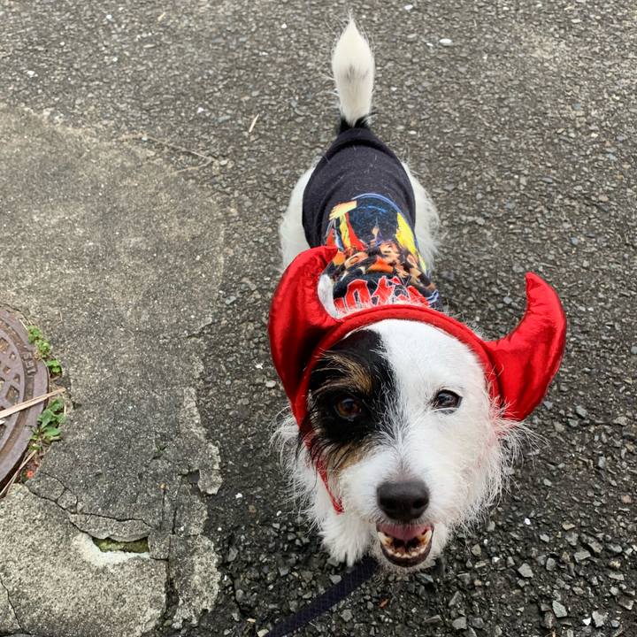 5ad8e620 c486 4ebf bc67 ceb20185cc76 1634347470884