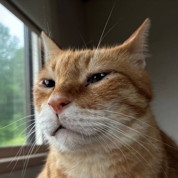 5ad8fd03 52bf 45dc a7ed 6a0da77ac2cd 1752868667767