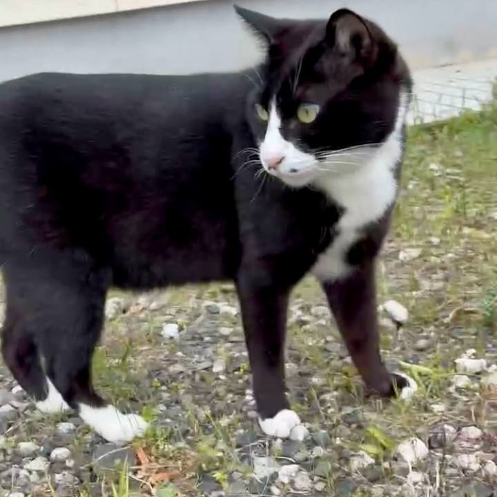 5ad90997 f7f3 4b34 b490 2733489fce89 1746099482743