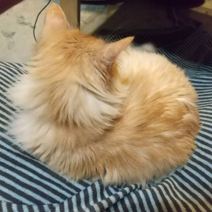 5ad9485f bfe8 45be a3ee 0d5e8e17ecb5 1650287251396