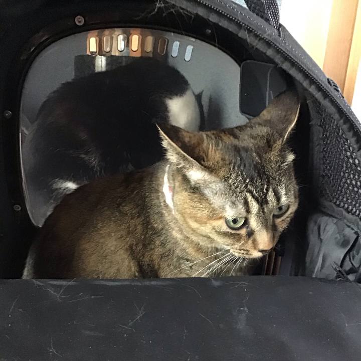 5ad94dae 2c7e 4a0f 8ca4 65a37d402fd0 1722761309696