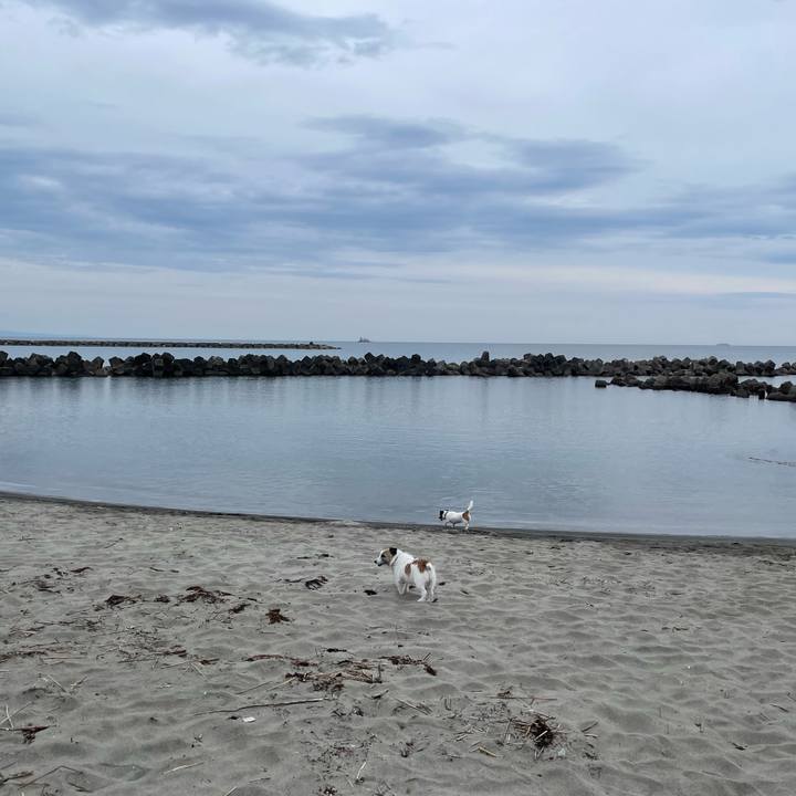 5ad9a704 fbe2 44fd 87a0 5886bf78500e 1718668641961