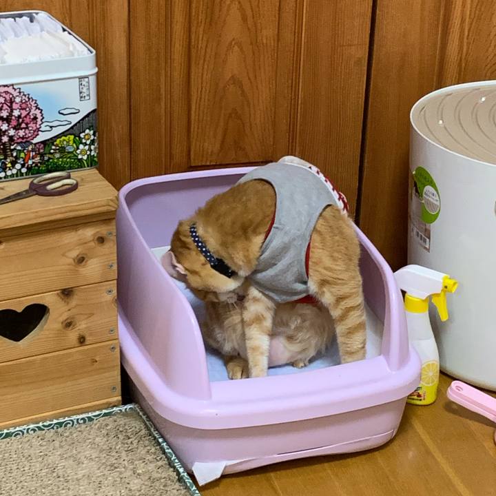 5ad9c6f8 bd9b 4da8 9fbe 554b7eb0fde1 1602285414022