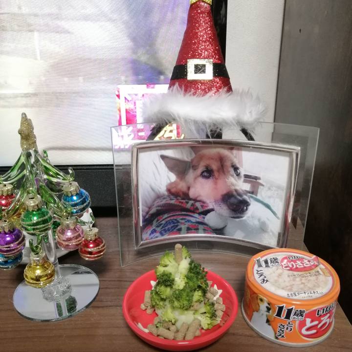 5ada3a48 68e1 46e1 a5b5 3fe06217bcec 1640343808955