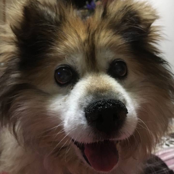 5ada5bfa 5138 463e b4d6 fa8c5fc87da7 1598493073625