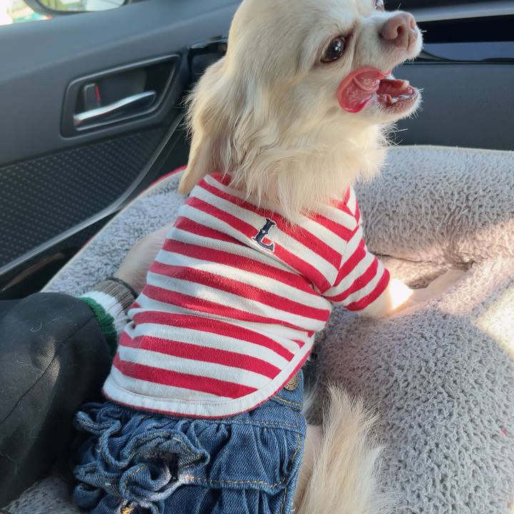 5ada6365 947f 45cc bfe1 92edcbb6c9e4 1730605344497