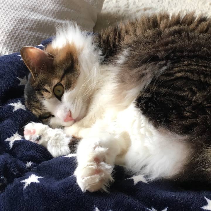 5ada8045 7d02 4a03 b33b b0631df15add 1516588284055