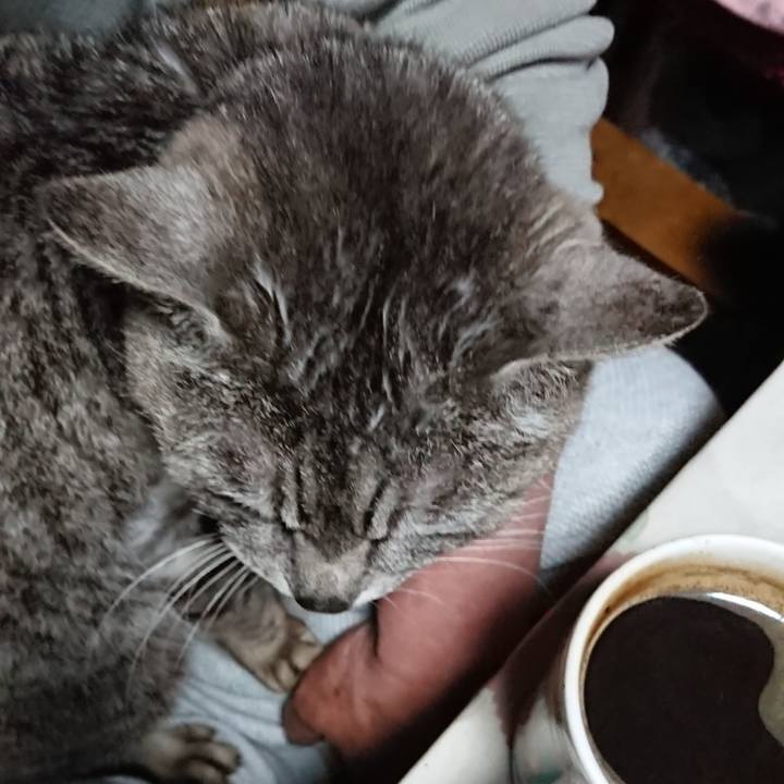 5adac105 f037 4c73 b2cb aa143ab69839 1590349941772