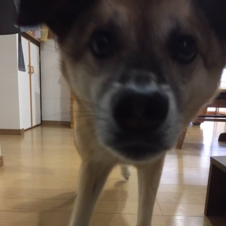 5adacd9b e88e 4087 a2da e3785f5c5158 1558392744528