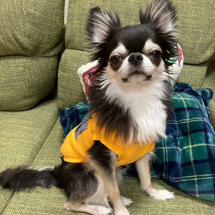 5adae117 fc28 495d b1ae a14e5139e0c0 1679842831309