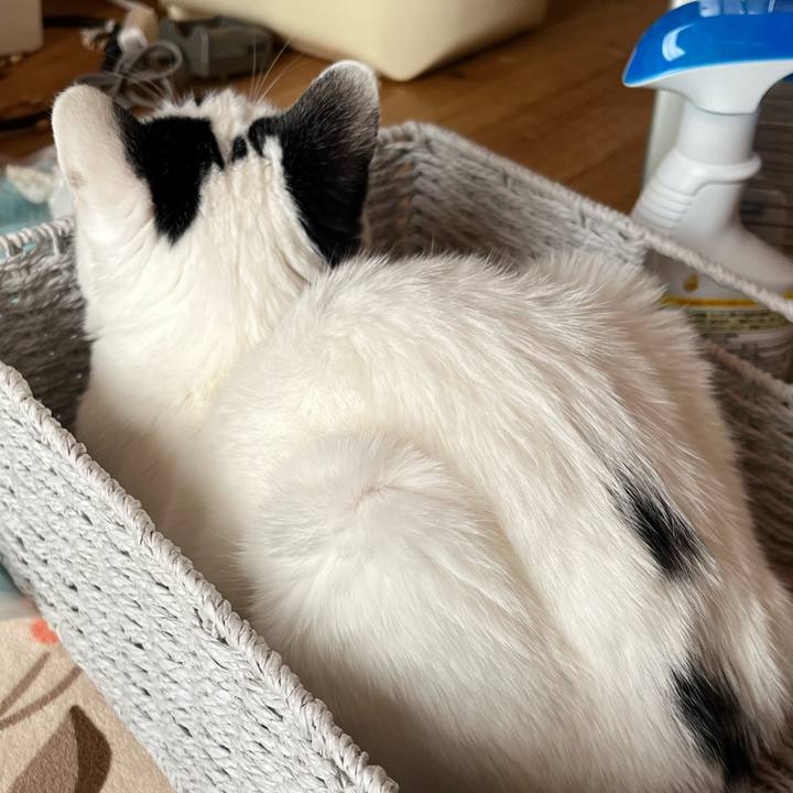 5adb421e aef3 4791 95b7 c6eb3bd211bf 1770811957466