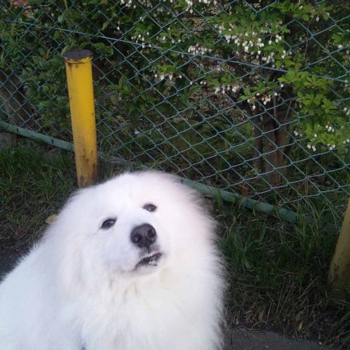 5adb61c3 1b5e 4bdb 8eae 289a74a7ea8e 1682801490324