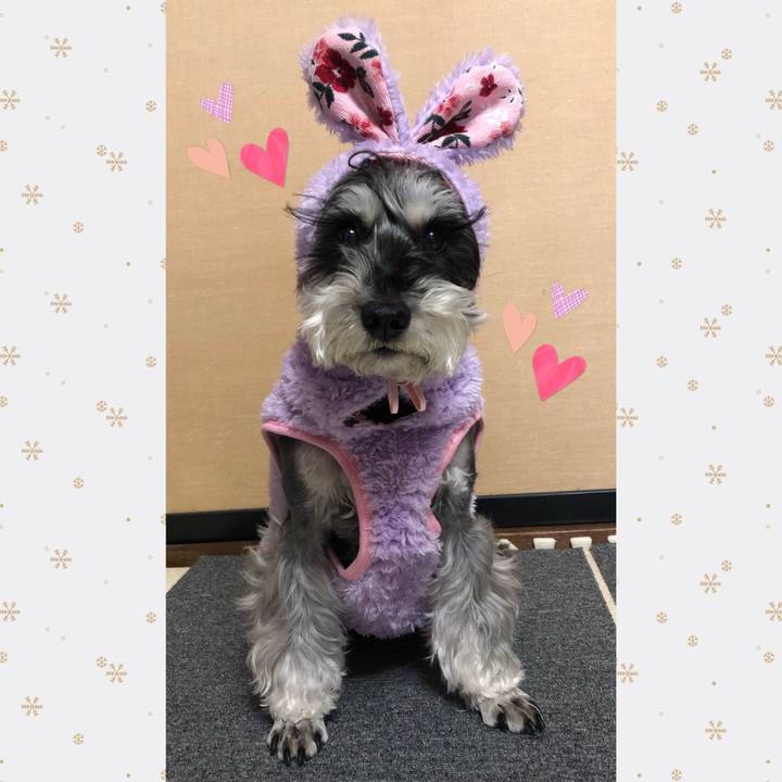 5adb719f ec82 4936 9141 f408ee98efc0 1672550265744